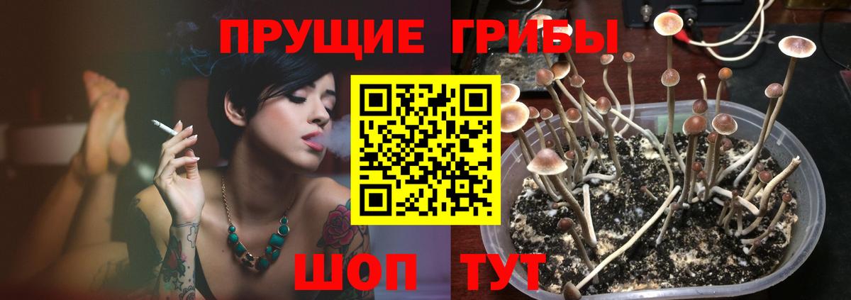 Псилоцибиновые грибы прущие грибы  Вход с VPN  Димитровград 